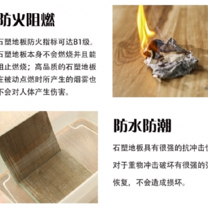 實景圖